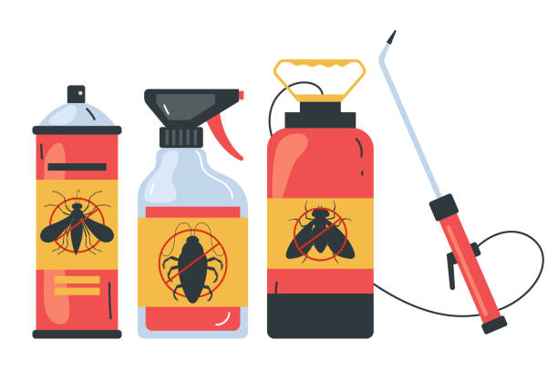 Best Bed Bug Extermination  in USA